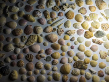 hacimsel doku nesneleri