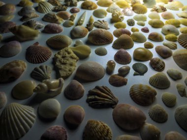 hacimsel doku nesneleri