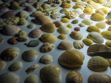 hacimsel doku nesneleri