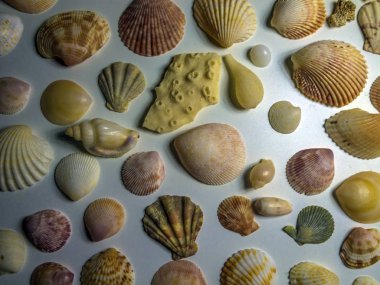 hacimsel doku nesneleri