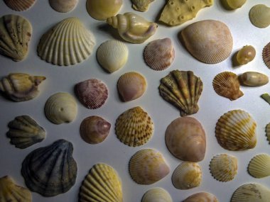 hacimsel doku nesneleri