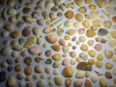 hacimsel doku nesneleri