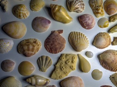 hacimsel doku nesneleri