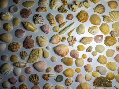 hacimsel doku nesneleri