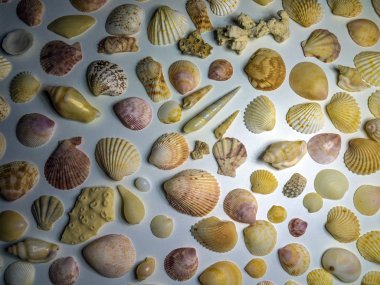 hacimsel doku nesneleri