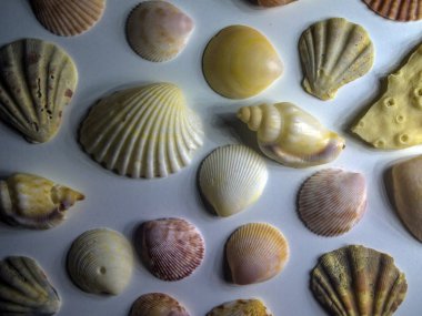 hacimsel doku nesneleri