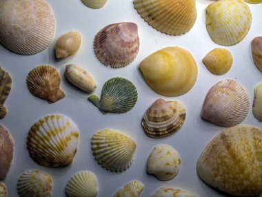 hacimsel doku nesneleri