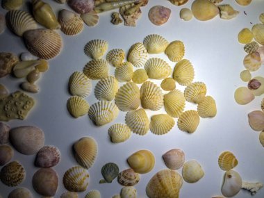 hacimsel doku nesneleri