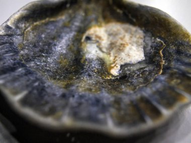 hacimsel doku nesneleri