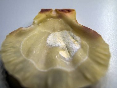 hacimsel doku nesneleri