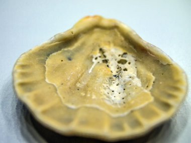 hacimsel doku nesneleri