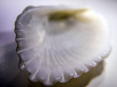 hacimsel doku nesneleri