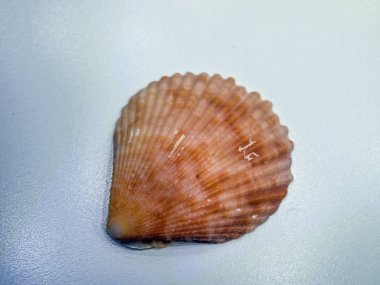 hacimsel doku nesneleri