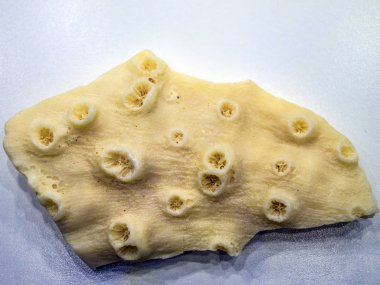 hacimsel doku nesneleri