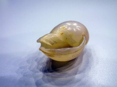 hacimsel doku nesneleri