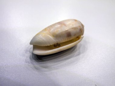 hacimsel doku nesneleri