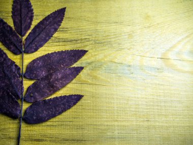 hacimsel doku nesneleri