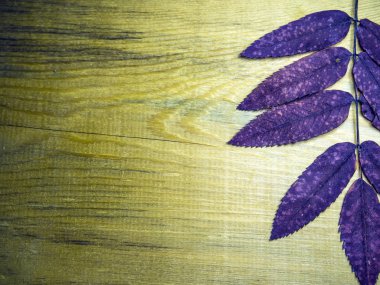 hacimsel doku nesneleri