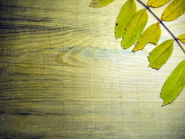 hacimsel doku nesneleri