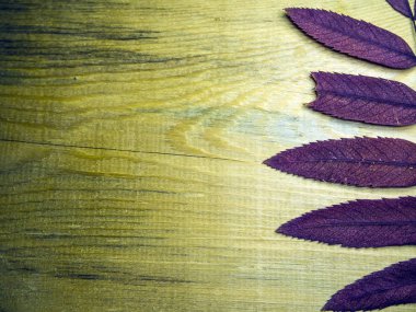 hacimsel doku nesneleri