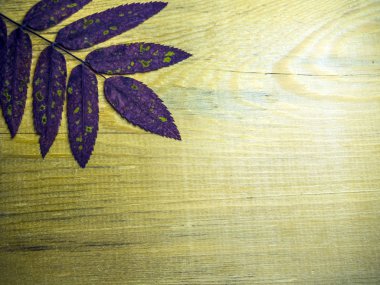 hacimsel doku nesneleri