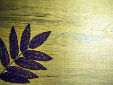 hacimsel doku nesneleri