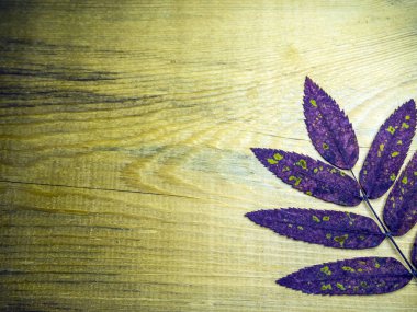 hacimsel doku nesneleri