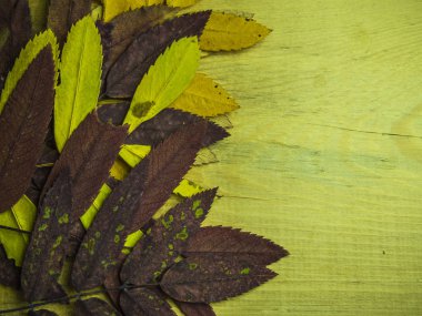 hacimsel doku nesneleri