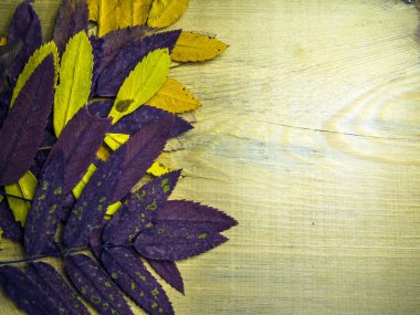 hacimsel doku nesneleri