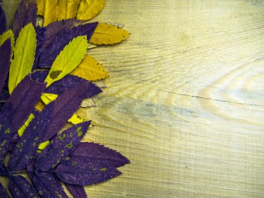 hacimsel doku nesneleri