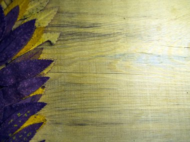 hacimsel doku nesneleri