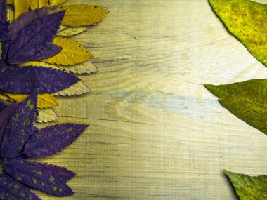 hacimsel doku nesneleri