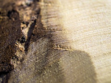 hacimsel doku nesneleri