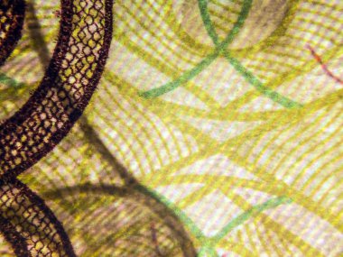 hacimsel doku nesneleri