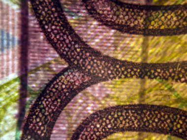 hacimsel doku nesneleri