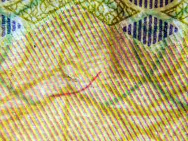 hacimsel doku nesneleri