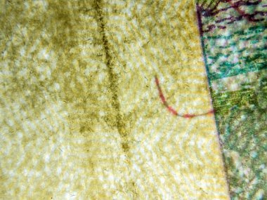 hacimsel doku nesneleri