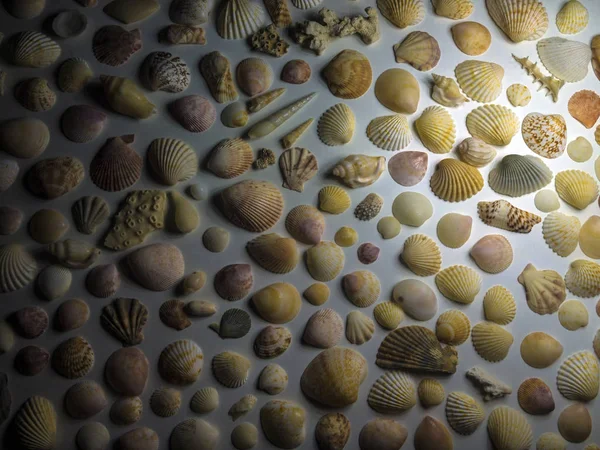 hacimsel doku nesneleri