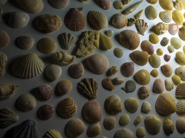 hacimsel doku nesneleri