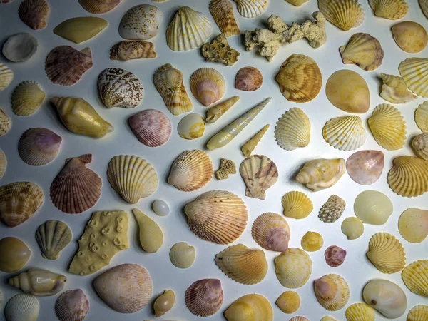 hacimsel doku nesneleri