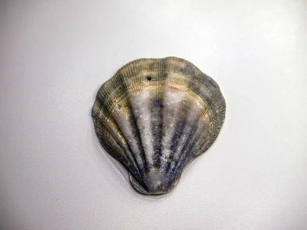 hacimsel doku nesneleri