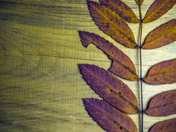 hacimsel doku nesneleri