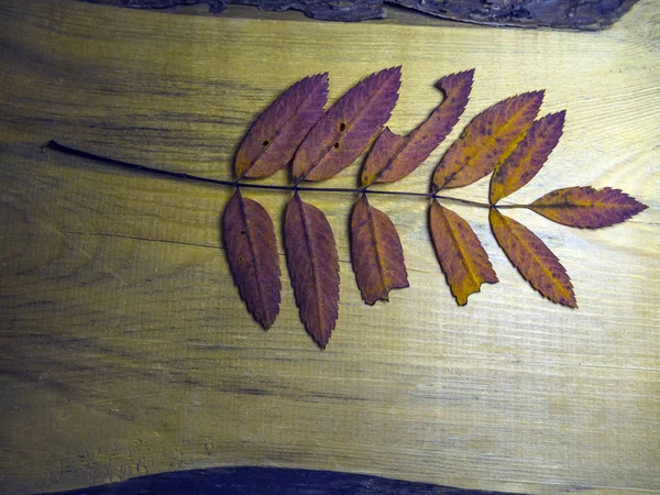 hacimsel doku nesneleri