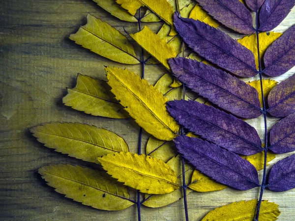 hacimsel doku nesneleri