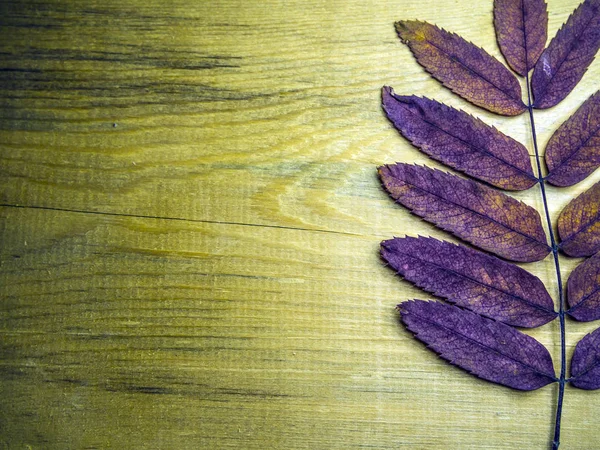 hacimsel doku nesneleri