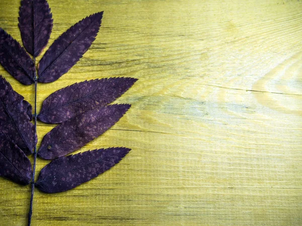 hacimsel doku nesneleri