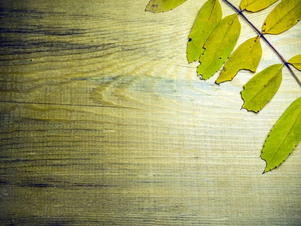 hacimsel doku nesneleri