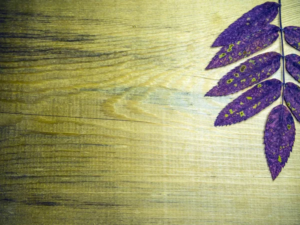 hacimsel doku nesneleri