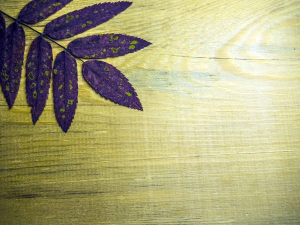 hacimsel doku nesneleri