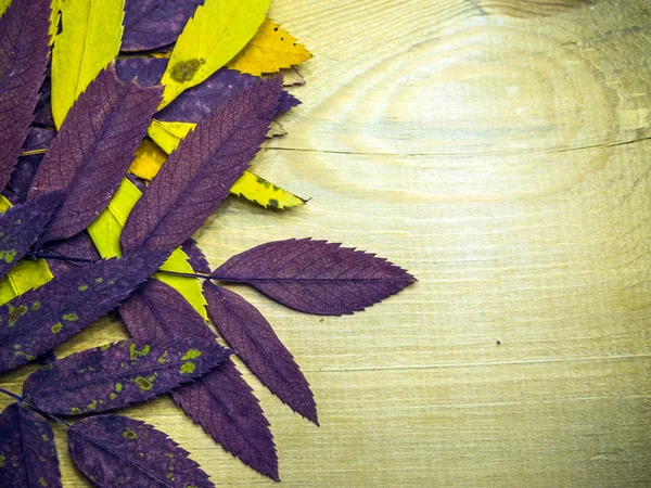 hacimsel doku nesneleri